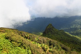 El Yunque rainforest, Puerto Rico