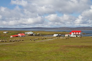 Countryside in the Falkland Islands
