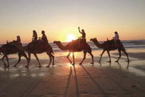 Camel train on Cable Beach, Broome
