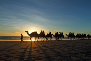 Camel riding on the beach at Broome, Australia