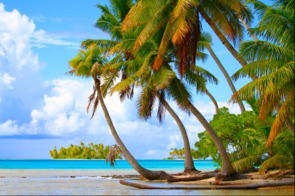 Beach in Rangiroa atoll, French Polynesia