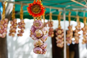 Garlic hanging up in Arles, France