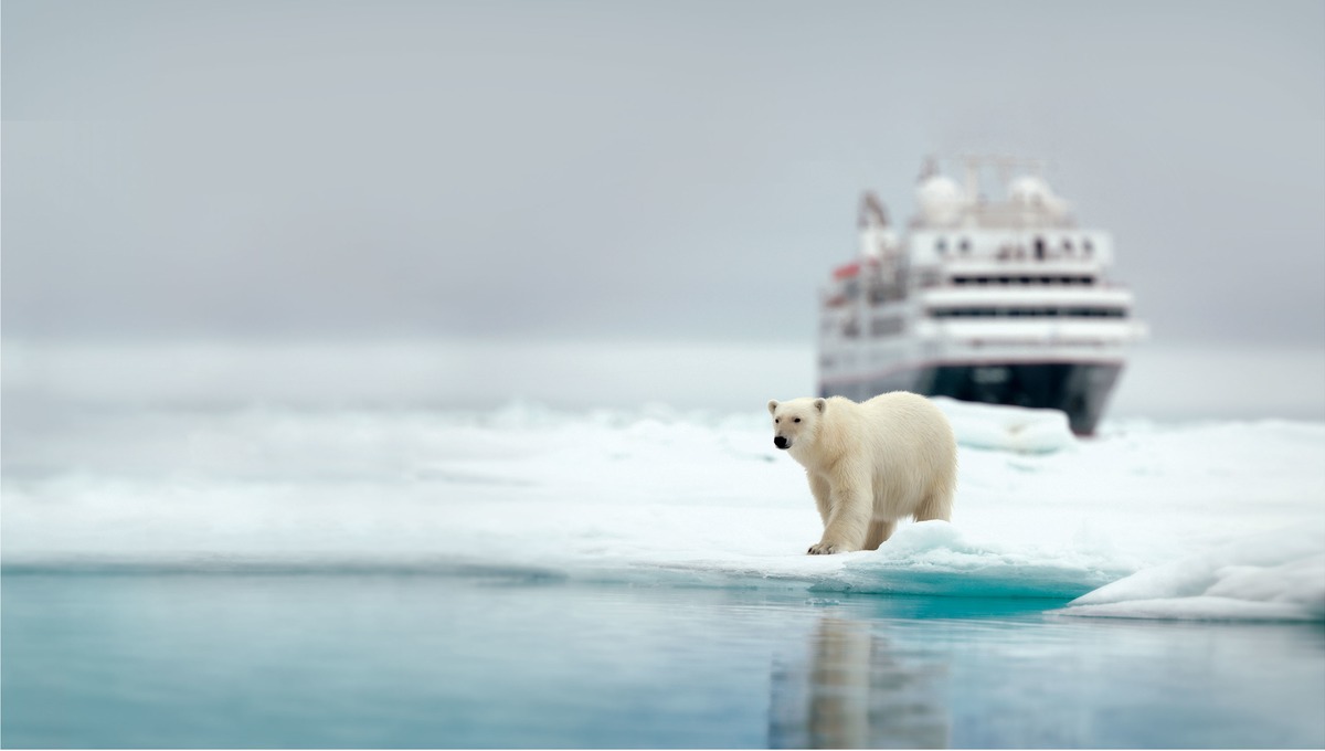 Silver Explorer - Polar bear in the Arctic