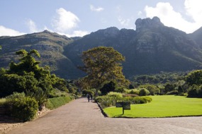 Kirstenbosch Botanical Gardens, Cape Town