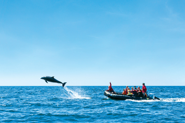 Spring expedition cruises - Lindblad in the Sea of Cortez