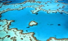 Australasia & Pacific cruises - Great Barrier Reef
