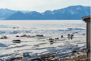 Qaamutiiks in spring ice, Pond Inlet, Canada