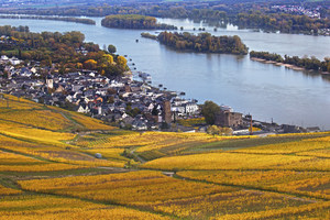 Rudesheim, Rhine Valley