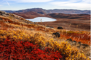 Autumn landscape in Kangerlussuaq, Greenland