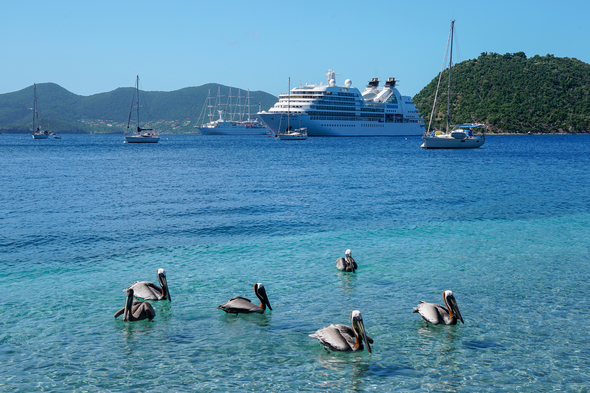 Seabourn and Windstar in Terre-de-Haut, Guadeloupe
