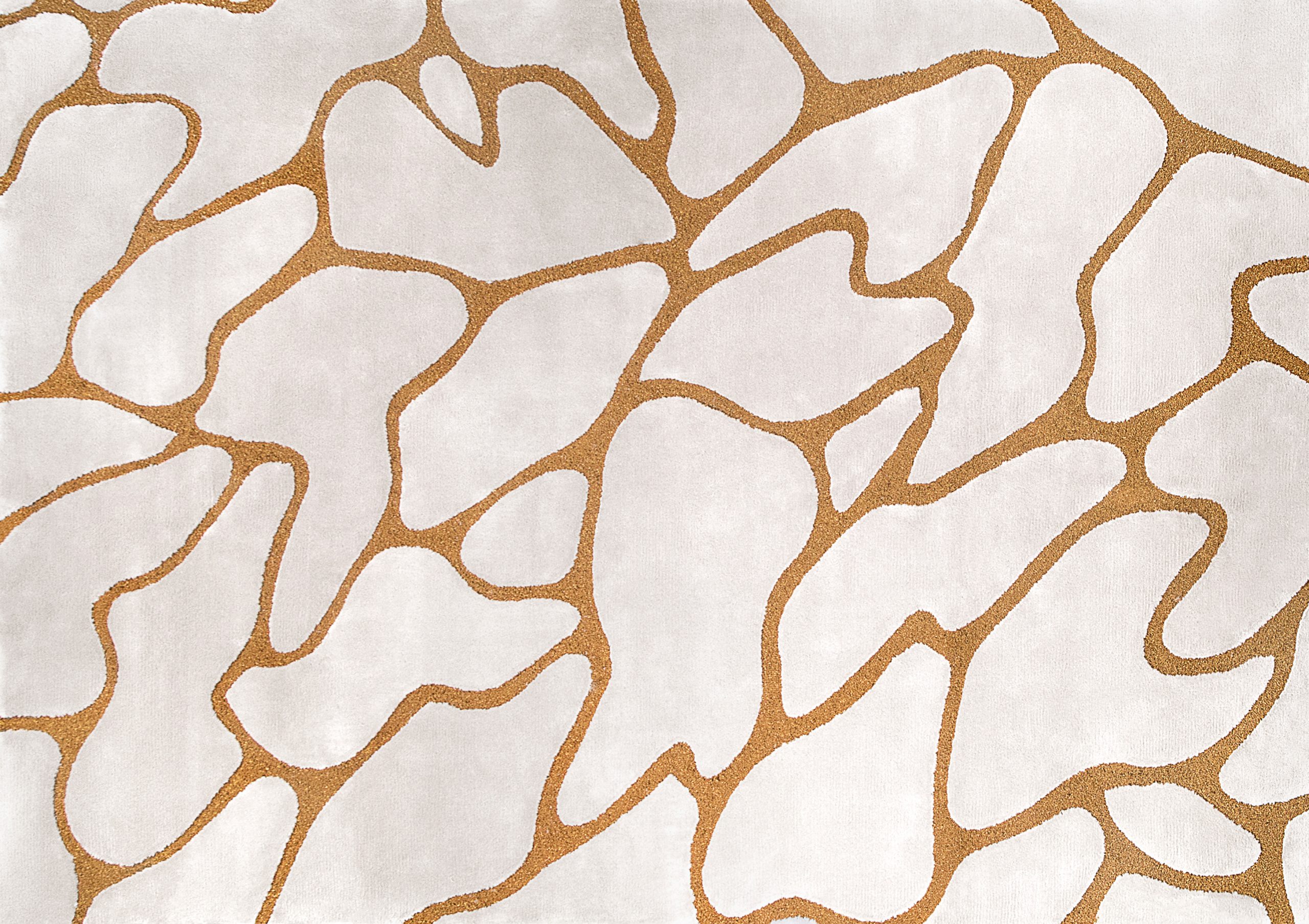 Interior Design Essentials: Discovering Rug Trends with Rug'Society