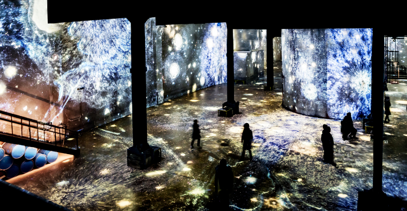 Infinity des Lumières - The Largest Digital Art Gallery